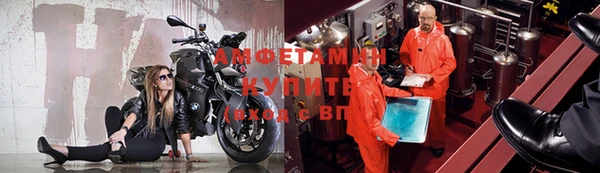 прущий лед Пересвет