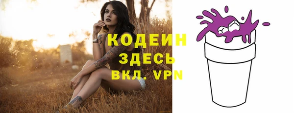 прущий лед Пересвет