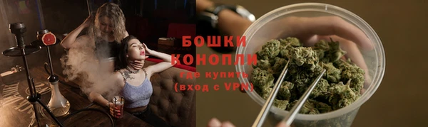 прущий лед Пересвет