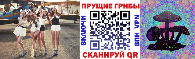 MEGA как войти  Иркутск  Псилоцибиновые грибы Magic Shrooms 