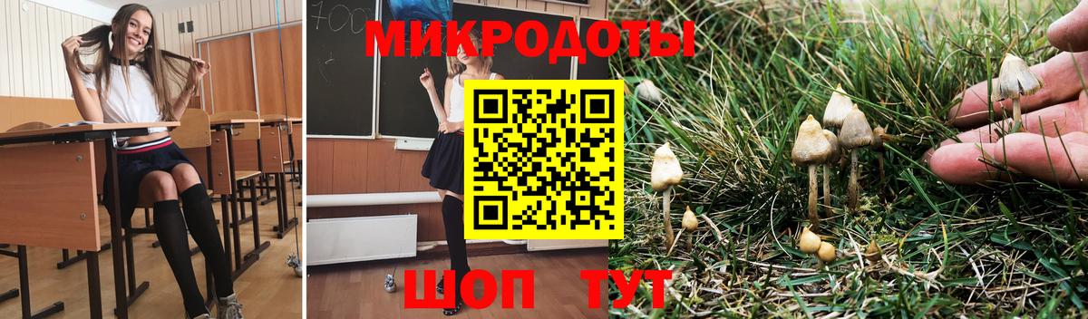 где найти   Вход с VPN  Иркутск  Галлюциногенные грибы GOLDEN TEACHER 